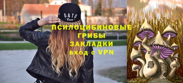 a pvp Алексин
