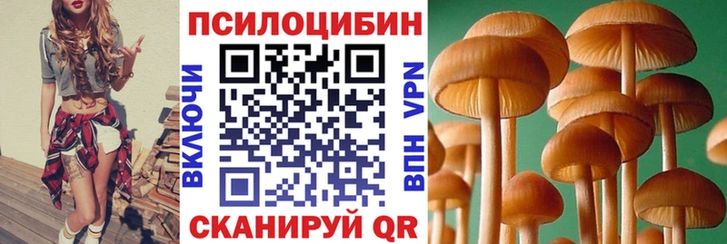 Галлюциногенные грибы Magic Shrooms  Новочеркасск 