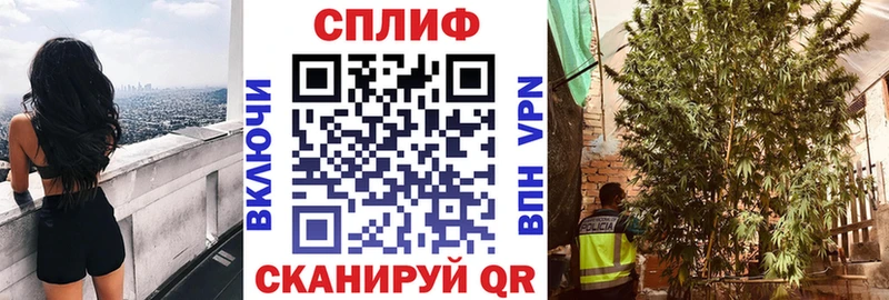 дарнет шоп  Новочеркасск  OMG вход  Марихуана White Widow 